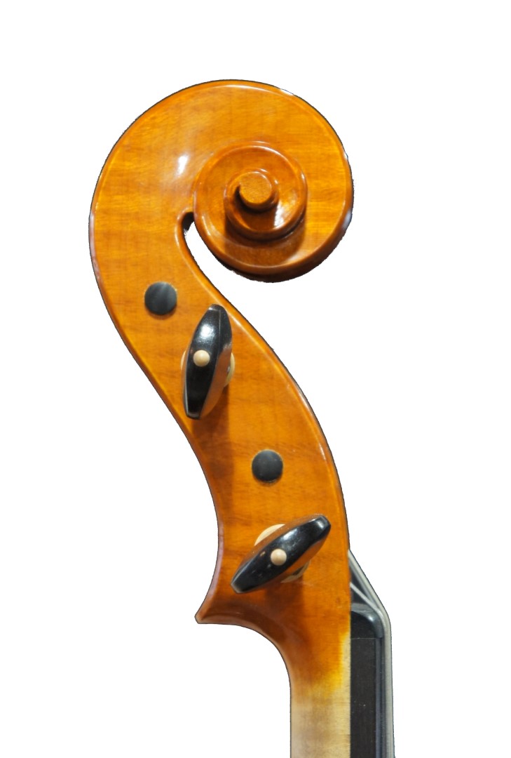 2019_Va_40.8_testa(7291080)