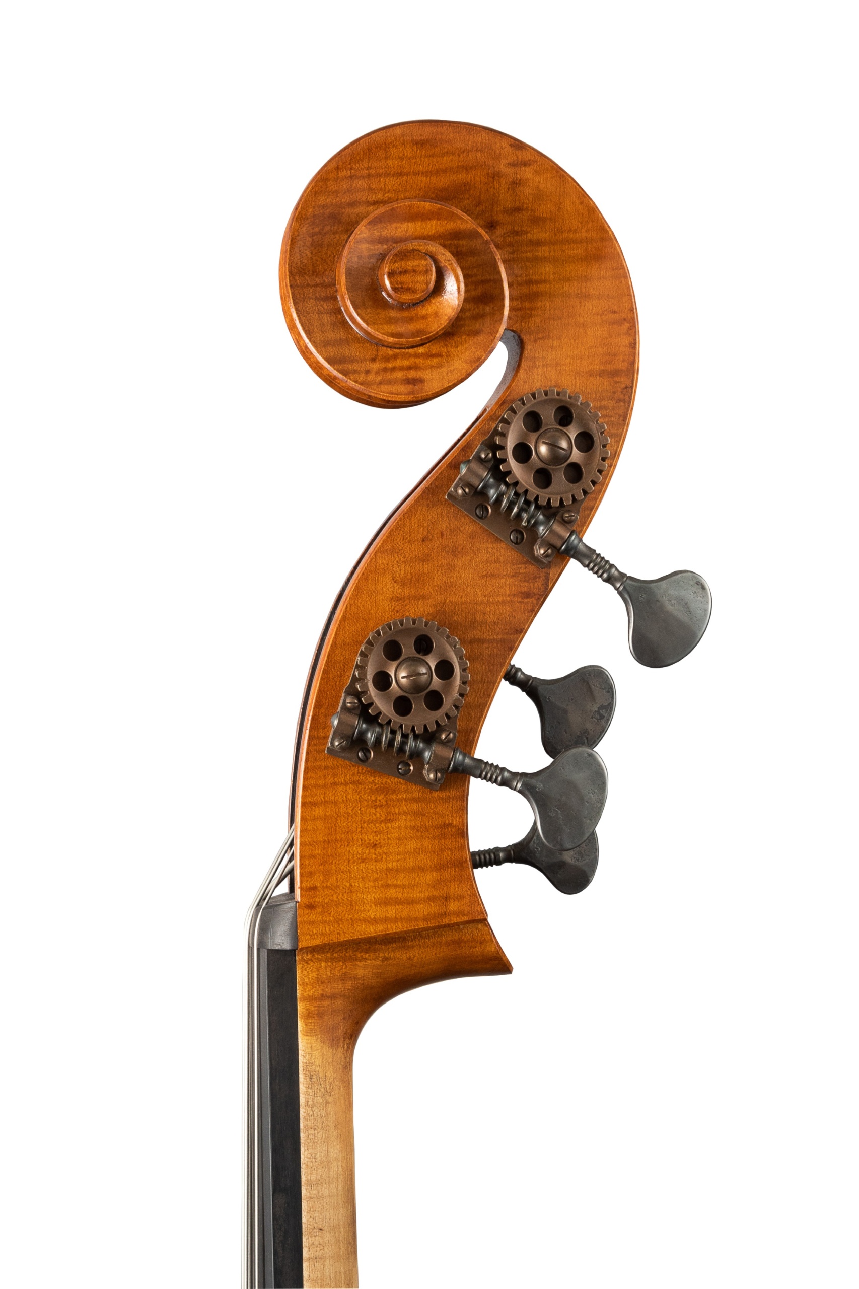 Cb2021testa (25133771)