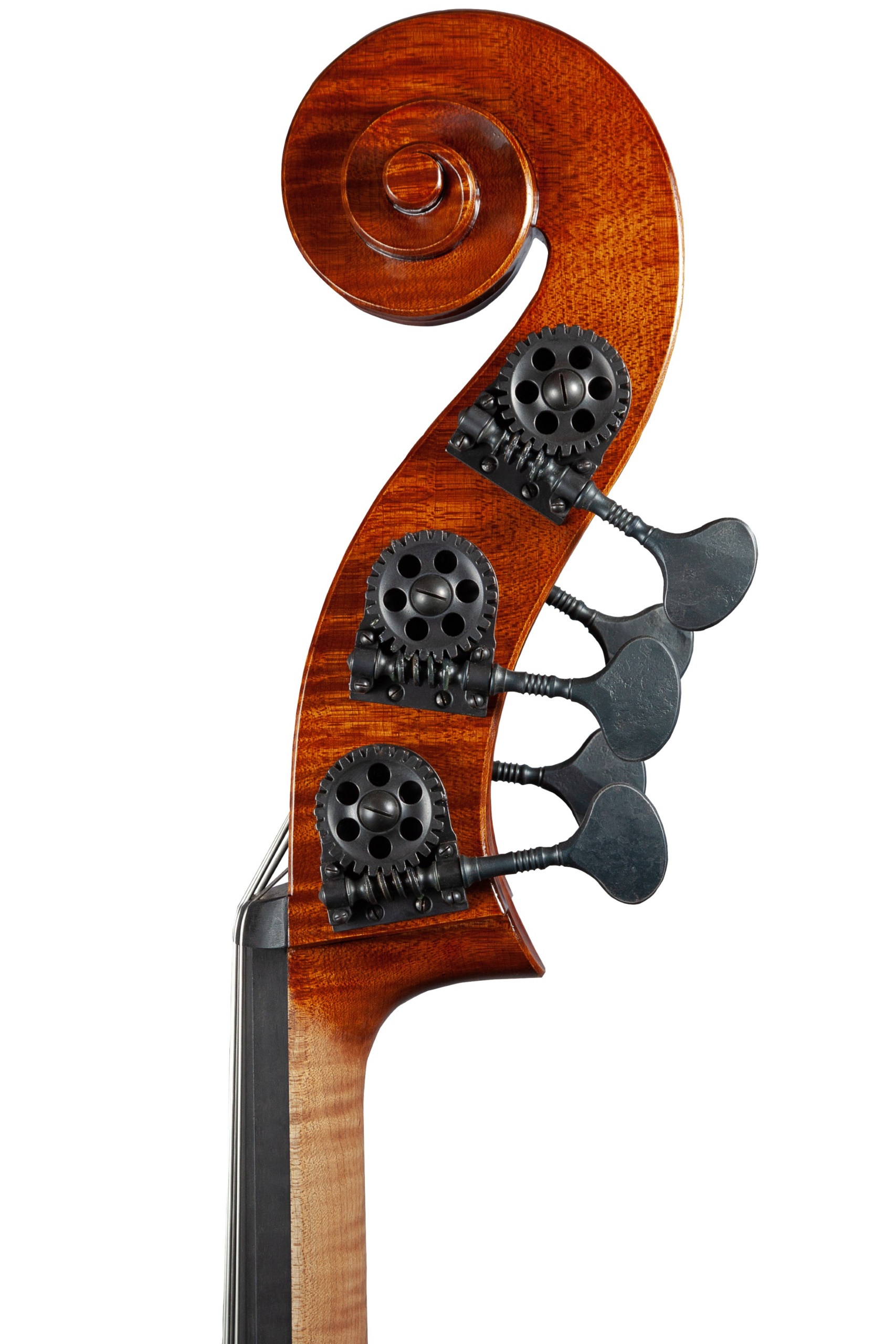 Cb202211testa (23823573)