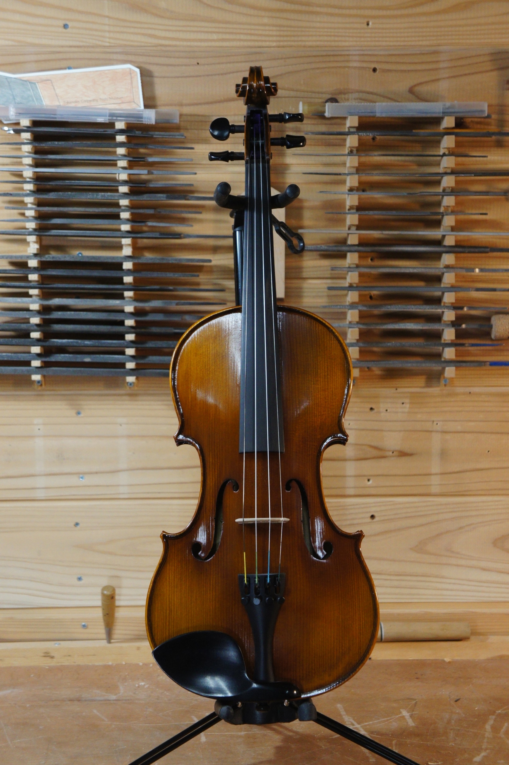 Violin Grazioso GV-1H